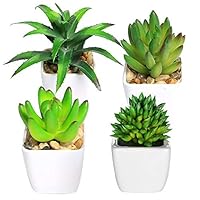WELLXUNK Artificiale Vaso Piante,4 Pezzi Mini Piante Succulente,Piante Grasse per Casa...