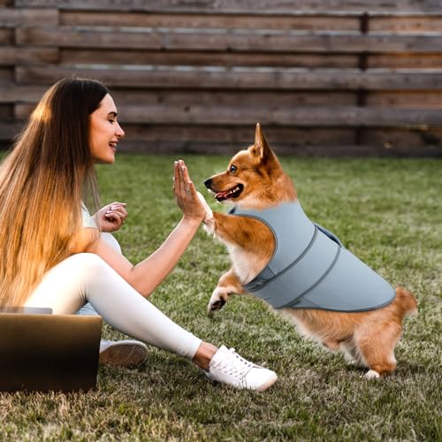 Image of Dog Anxiety Shirt,Dog Anxiety Jacket Calming Vest for Thunderstorm,Travel,Separation, Calming Coat Wrap for Dogs, Pet Stress Relief Anxiety Jacket (Misty Blue, Large)