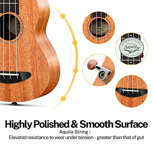 Image of Donner Soprano Ukulele Beginner Kit Ukulele 21 inch Starter Kit Mahogany Adult Hawaii Guitar Ukelele with Online Lesson (DUS-100)