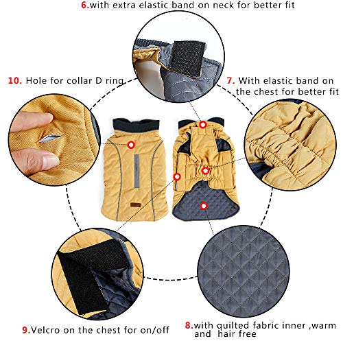 Hundemantel Winter Warme Jacke Weste, 7 Größen für Kleine Mittlere Große und Riesige Hunde, Winddicht Schneeanzug Hundekleidung Outfit Weste Haustiere Bekleidung (M, GRÜN)