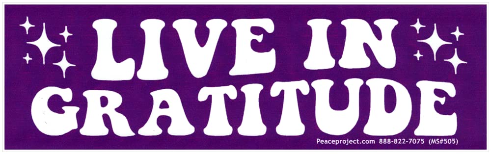 Vinilo Live in Gratitude para coche y ordenador: estilo positivo en tu rutina