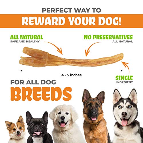 Bundle – Whole Medium Elk Antler For Dogs (5-7”) And Meaty Beef Tendon Chews (12-Pack, 7-9”) – All Natural, Long Lasting, Digestible Dog Treats For Small, Medium And Large Aggressive Chewers #TOP3