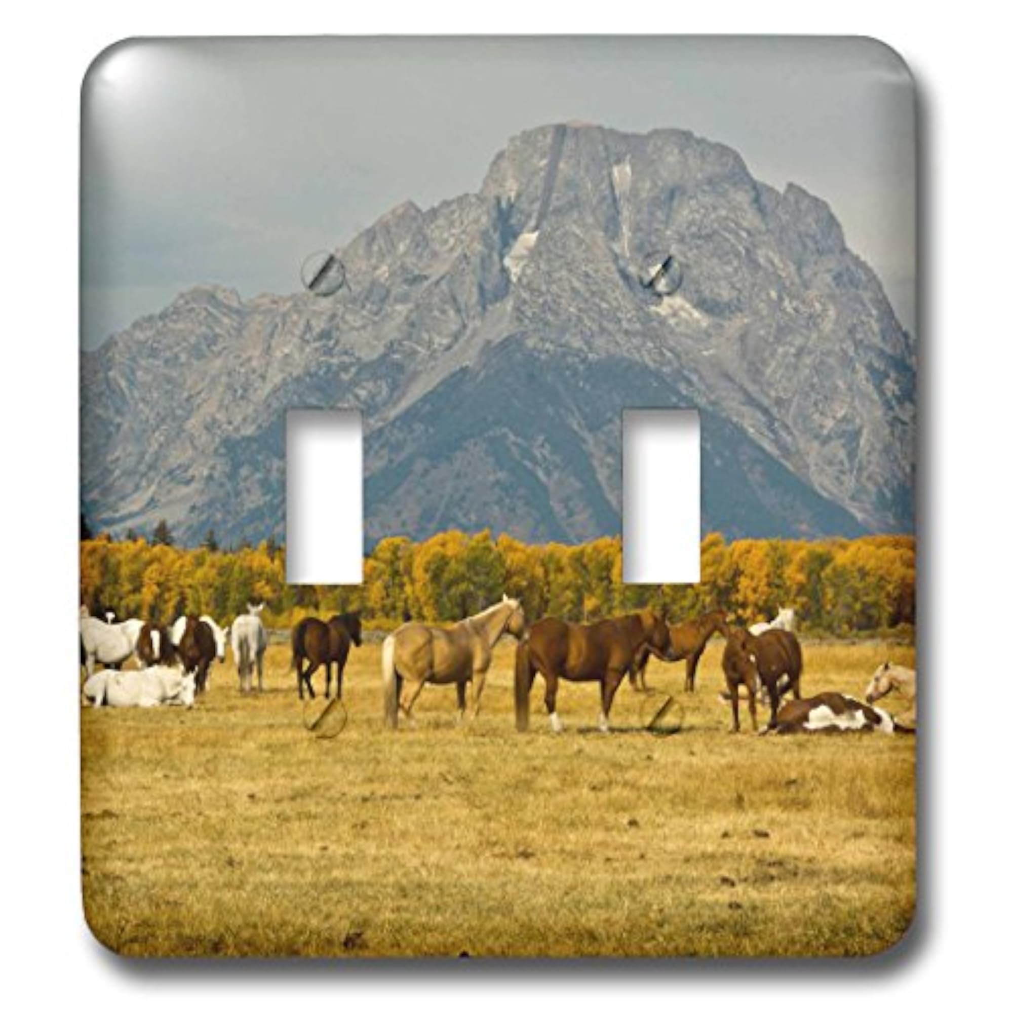 Horses at Elk Ranch Flats Toggle Switch