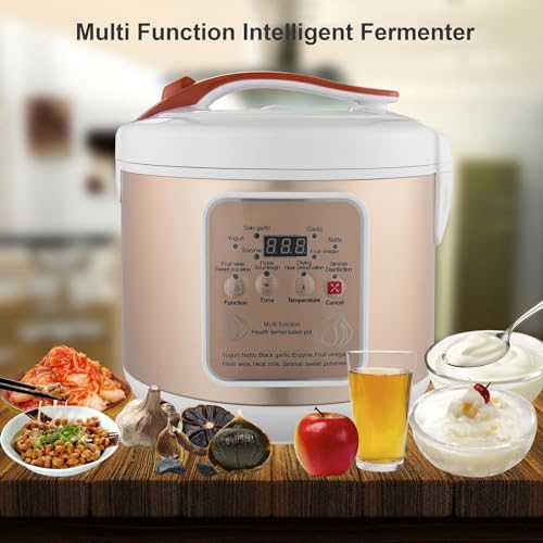 Fermenteur d'ail noir machine de fermentation cuisine 6L multi-cuisson