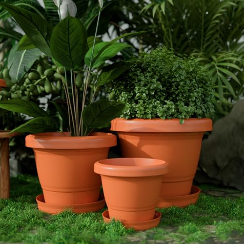 Image of YUCCABE ITALIA SHERA SD 10 INCH Pack of 8 with Bottom Tray Plastic Flower Pot Unbreakable Round Shape Planter for Garden Seedling Indoor and Outdoor