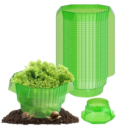 zalava 30 pezzi di collari per lumache, anti lumache per orto, anelli per insalata per la difesa di lumache, efficace protezione contro le lumache per le vostre piante da insalata e cavoli