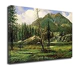 La pintura es una obra de arte que durará entre 80 y 100 años. Los colores son vibrantes y saturados, y no se desvanecerán con el tiempo. SIRIUSART Canvas Wall Art NO SE DESVANECE COLORES VIBRANTES Y SATURADOS HASTA POR 80 AÑOS