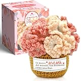CAwished Regalo Madre, cumpleaños para mamá de Hija e Hijo, decoración de Escritorio con Flores de Clavel de Crochet, la Mejor Idea de Regalo para Mama