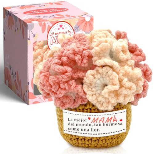 CAwished Regalo Madre, cumpleaños para mamá de Hija e Hijo, decoración de Escritorio con Flores de Clavel de Crochet, la Mejor Idea de Regalo para Mama
