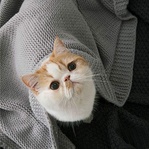 Bedsure Knitted Throw Blanket For Sofa And Couch, Lightweight, Soft & Cozy Knit Throws - Grey, 50 X 60 Inches #TOP6