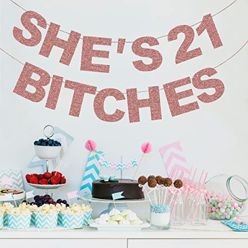 Image of Rose Gold 21st Birthday Decorations - Photo Backdrop Sign, Funny Banner, Party Supplies