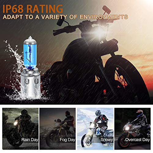WinPower Ba20d S2 35/35W 12V Motorrad Halogenscheinwerfer 5000K Warmweiß Superhelle Fernlicht Abblendlicht Doppelscheinwerfer Lampe Glühbirnen, 2 Stück