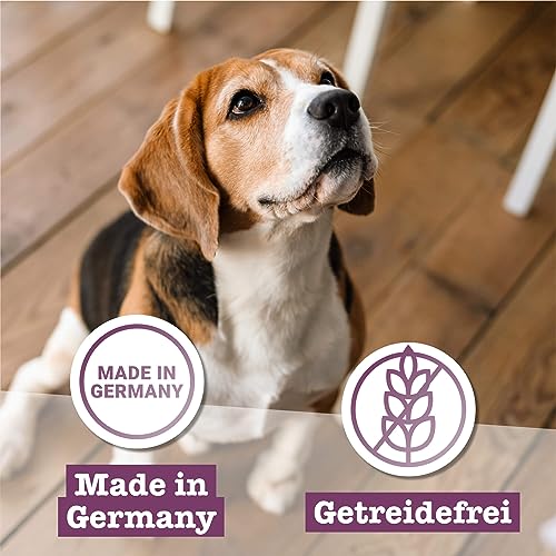 Chewies Fleischstreifen MAXI Hundeleckerli aus 100 % Kängurufleisch - 150 g - luftgetrocknete Känguru Kaustreifen für Hunde - zuckerfrei & getreidefrei - Dörrfleisch vom Känguru