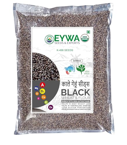 Image of Eywa Seeds & Exports Pvt Ltd Organic Black Wheat Seeds For Farming Produce Of India From Organic Farms By Eywa (15 Kg, Black Wheat seeds)