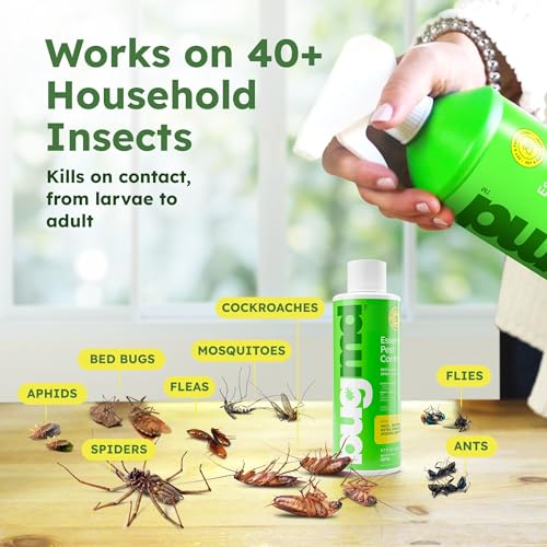 Image of BugMD Ant Killer & Bug Spray Concentrate - Indoor Cockroach and Roach Killer, Spider Spray for Home, Fly and Insect Defense, Essential Oils, Plant-Powered, Eco-Friendly Pest Control - 3.7 Oz
