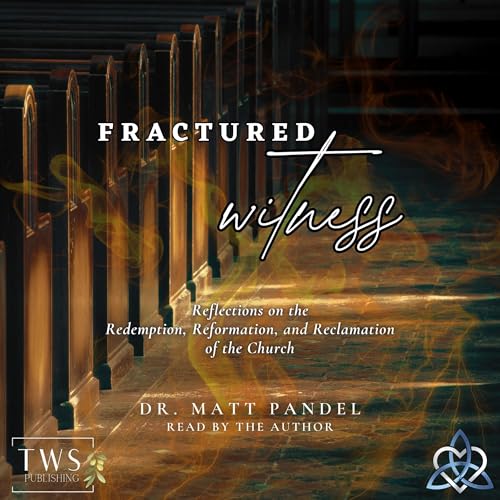 Fractured Witness by Matt Pandel episode artwork