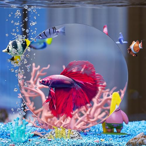 Luz LED para pecera, lupa de acuario, kit de inicio de peces Betta con filtro para nano, pez dorado, caracol y camarón