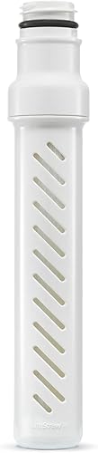 LifeStraw Go Series - Microfiltro de membrana de repuesto para botella de agua con filtro de carbono incluido