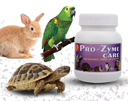 Image of Pet Care International (PCI) Pro-Zyme Care || Probiotics with Digestive Enzymes for Healthy Digestive System || Designed for Reptiles, Hamster, Marmoset, Iguana, Geko, Dwarf, Gerbil || 100grm