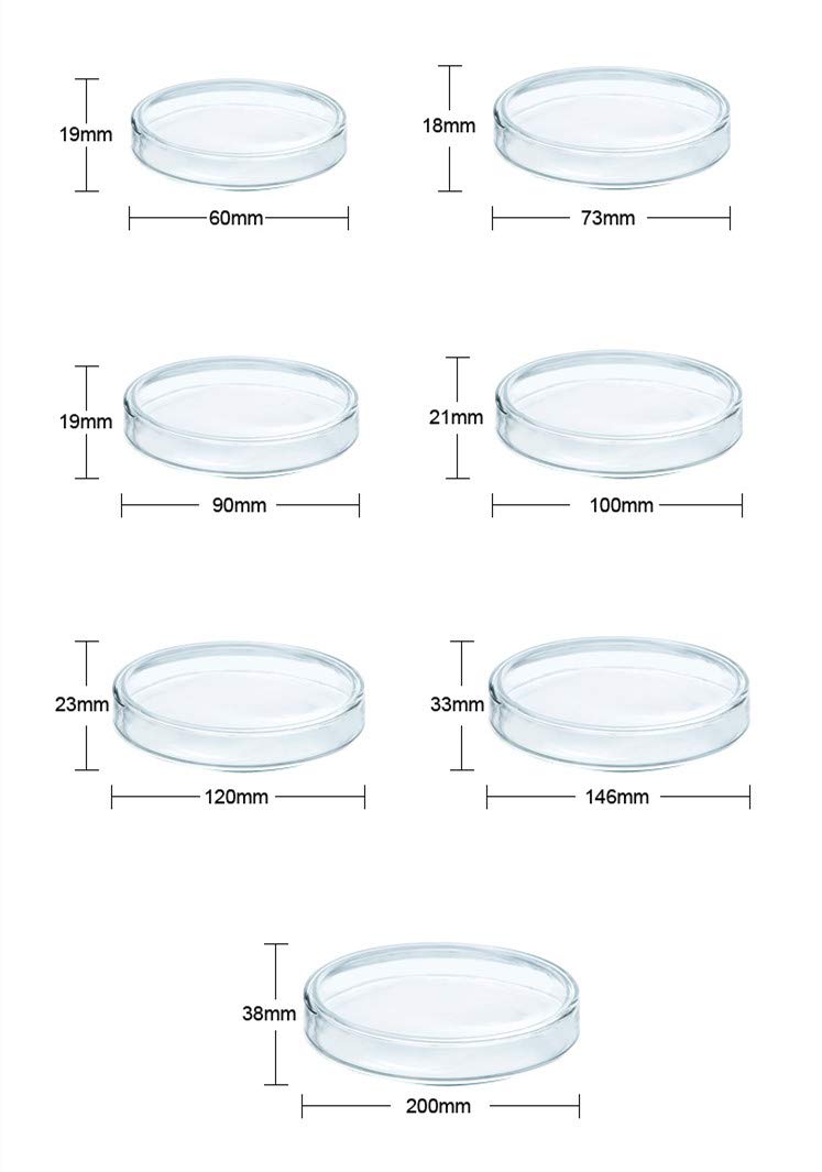 5PCS Glass Petri Dishes with Lids High Borosilicate Glass Bacterial Culture Dishes (D120mm)