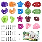 TOPNEW 18PCS Rock Climbing Holds for Kids, Rock Wall Climbing Holds with Hardware - Climbing Rocks for Indoor Outdoor Playground Climbing Wall