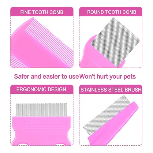 View 4