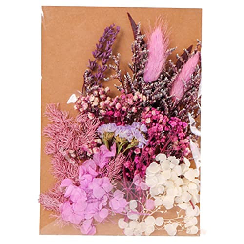 Kit DIY de flores secas para manualidades miniatura 1