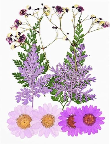 Flor seca pequeña artesanal para decoración y manualidades miniatura 4
