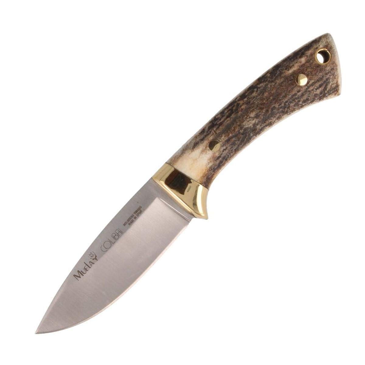 Muela Cuchillo Colibri COL-7A hoja de acero MoVa de 7 cm y empuñadura de asta de ciervo para Caza, Pesca, Supervivencia y Bushcraft Realizado en Ciudad Real + Portabotellas de regalo
