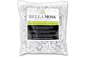 SYNDICATE HOME AND GARDEN Stunning Hydro Stone Terrarium Decor