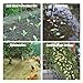 FNUQCOA Solid Anti Bird Netting Garden Net and Crops Protective Fencing Mesh Anti Bird Deer Cat Dog Chicken Net Fishing Net Poultry Net(2Mx15M,18 Strands 4cm Cell)