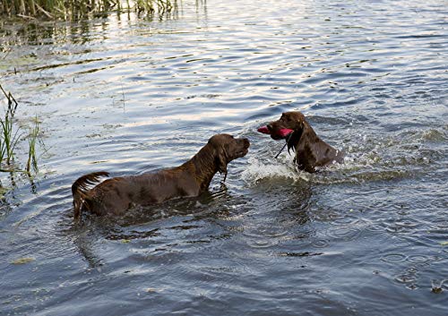 Dingo Hundespielzeug Beisswurst Agility Baumwolle mit Griff handgefertigt für Bisstraining Apportieren Schwimmend Schwimmfähig 15 x 6 cm Blau 15602