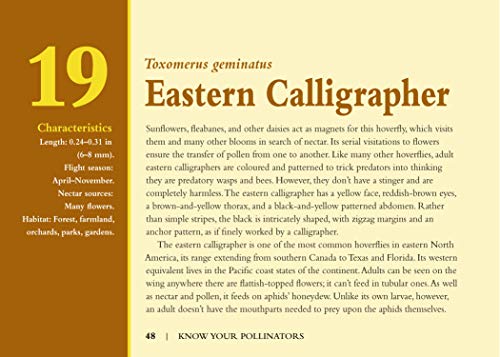 Know Your Pollinators (Old Pond Books) 40 Common Pollinating Insects including Bees, Wasps, Flower Flies, Butterflies, Moths, & Beetles, with Appearance, Behavior, & How to Attract Them to Your Garden - Image 4