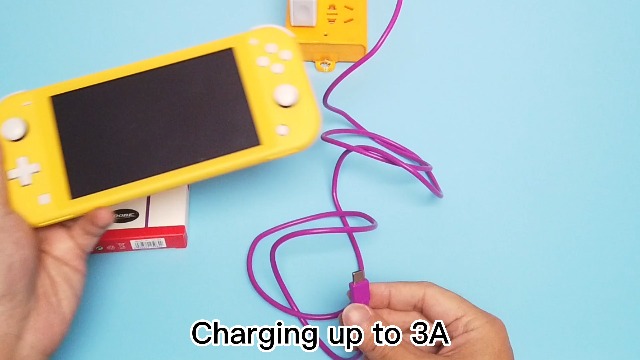 Amazon.com: Switch USB-C Charger Cable – Fast Charging Cord for