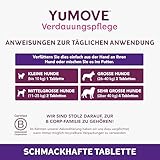 YuMOVE Probiotika Hund Tabletten - 120 Stück - Mit 200 Mio Guten Bakterien Enterococcus faecium & ActivBio Prebiotika MOS scFOS Beta-Glucane - Hund Darmflora Aufbauen & Natürliche Verdauungsbalance