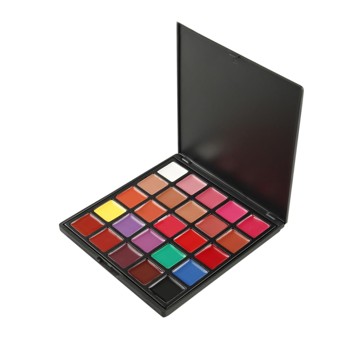 Paleta de Brillo de Labios 25 Colores, Pigmento Cosmético