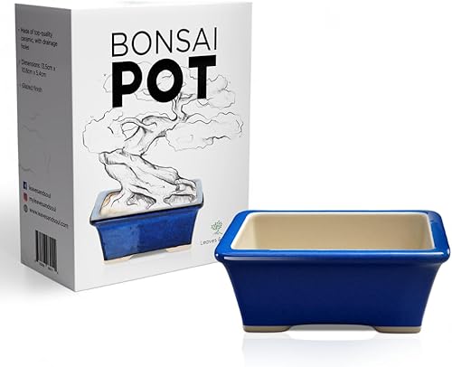 Macetero para bonsai de cerámica esmaltada, macetero decorativo para árboles diminutos, macetero para plantas crasas y pequeñas plantas, macetero
