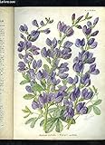  LA REVUE HORTICOLE 1932 N° 8 - H. Martinet, j,F.Lesourd. Chronique horticole.J. Delafon. — A quoi sert la publicité.G.Bellair. — Faits et commentaires :Nouvelles Vitamines.V.-A. Evreinoff. — La Pêche J.-H. Haïe.F. Lesourd. — Notes de voyage: L’Horticult