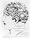 Produktbild Phrenology, The Symbolical Head, 1842 Poster Print by Science Source (24 x 36)
