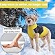 YOUYIKE Hundemantel für Hunde, Hundekleidung, Hundemantel Wasserdicht Hundejacke Winter Warme Jacke für Kleine Mittelgroße Hunde Hundebekleidung Warm Haustier Kleidung für Kaltes Wetter (Gelb, M)