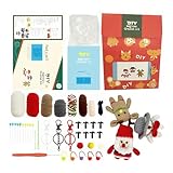 Generisch Anfänger Weihnachts-Häkel-Set,DIY Bastel Set,Weihnachtliches Strick- und Häkel-Set | Für Anfänger DIY Enthusiasten Als Strumpfgeschenk Für Gruppenaktivität Familienbindung