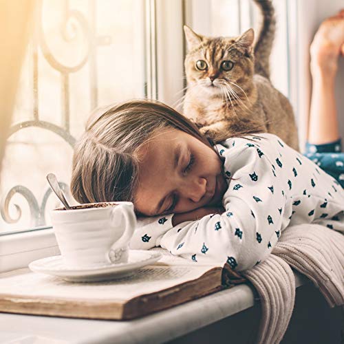 Ida Plus - Puur biergistpoeder, 3 kg, 100% natuurproduct voor honden, katten en paarden, voedingssupplement voor… - Image 7