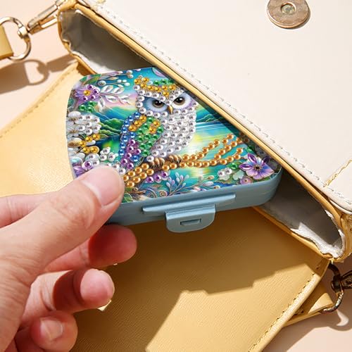 Image of ARTopet Diamond Art Painting Mini Storage Box with 6-Grid Creative Design Compact Portable Small Case for Purse Travel Daily-Owl