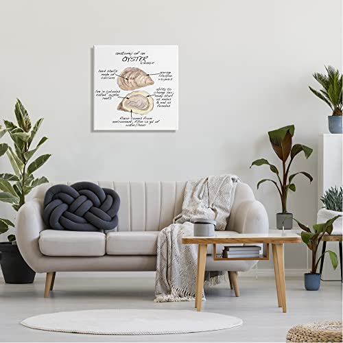 Image of Stupell Industries Oyster Marine Life Anatomy, 24 x 24 Inch Canvas Wall Art | Stupell Industries . By Dishique . Ready to hang . Educational nautical decor . Made in USA