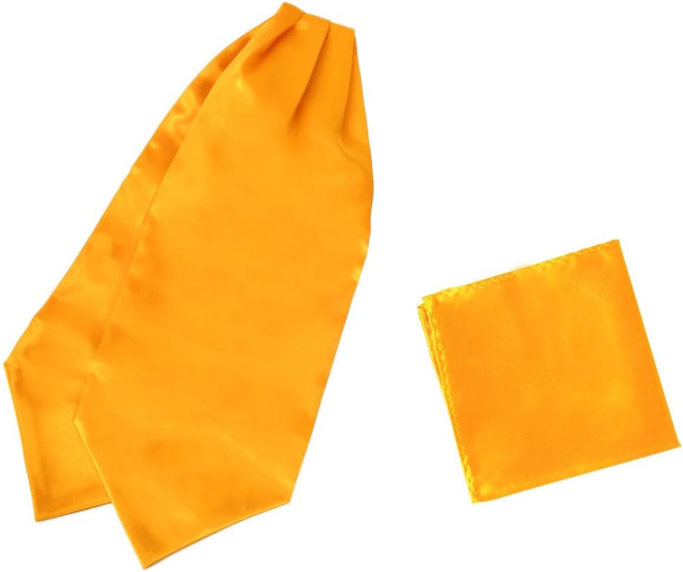 Dan SmithSolid Party Day Cravat Feel Silk Cravat Tie Ascot Assorted Pack Plain