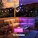 Nanoleaf Essentials Matter Smart Multicolor Outdoor String Lights Smarter Kit with Addressable RGBICW LED Bulbs, White and Color-Changing, Wi-Fi + Bluetooth, IP 65 Water Resistant (98ft, 40 Bulbs)