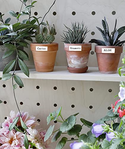 Tz Tape 18Mm 0.7 Laminated White Replacement For Tze-241 Tze Ptouch Black On White Compatible With Brother P-Touch Label Maker Refills Ptd400 Ptd600, 3/4 Inch X 26.2 Feet, 2 Pack #TOP6