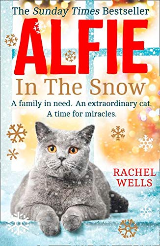 Alfie in the Snow: Book 5 (Alfie series)