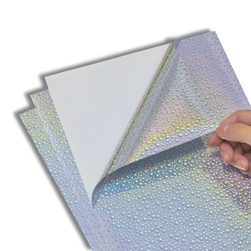 ENN LLC zOV[g A4  20 ~l[gtB CNWFbg\ (XvbV)