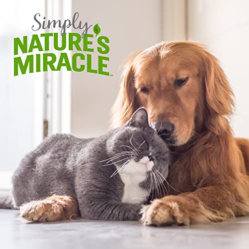 Image of Nature's Miracle Simply Pet Stain and Odor Remover, 32 Ounce, Made with 86% Plant-Derived Surfactants